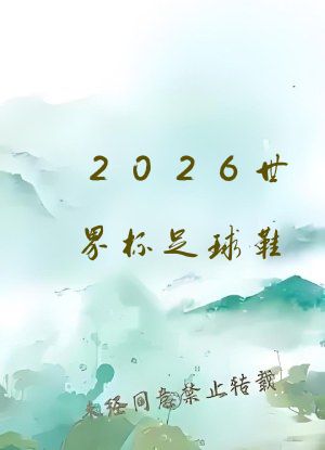 2026世界杯足球鞋