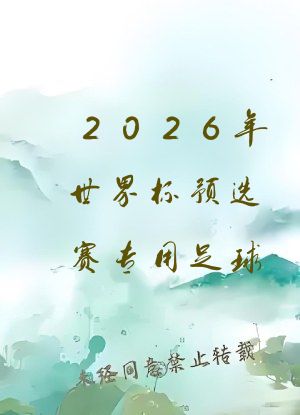2026年世界杯预选赛专用足球