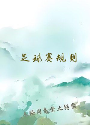 足球赛规则